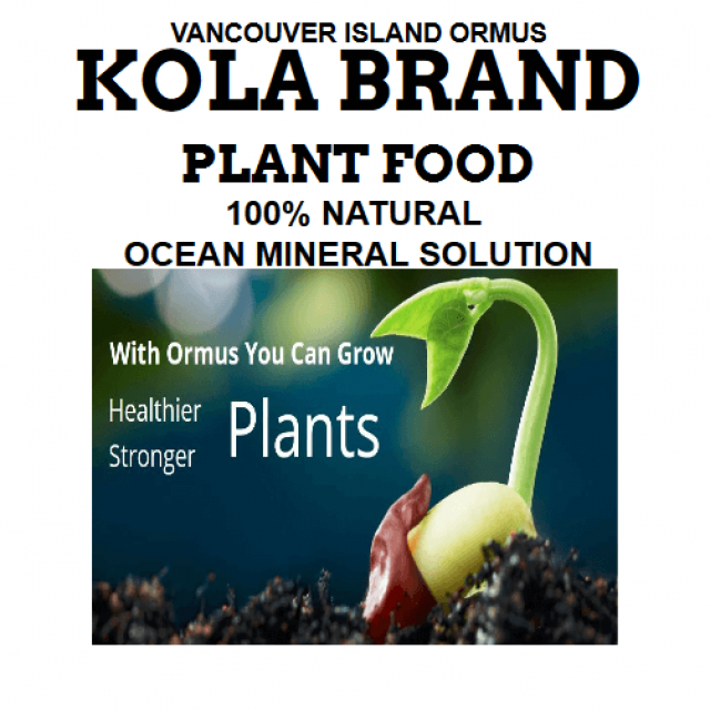 white-kola-front